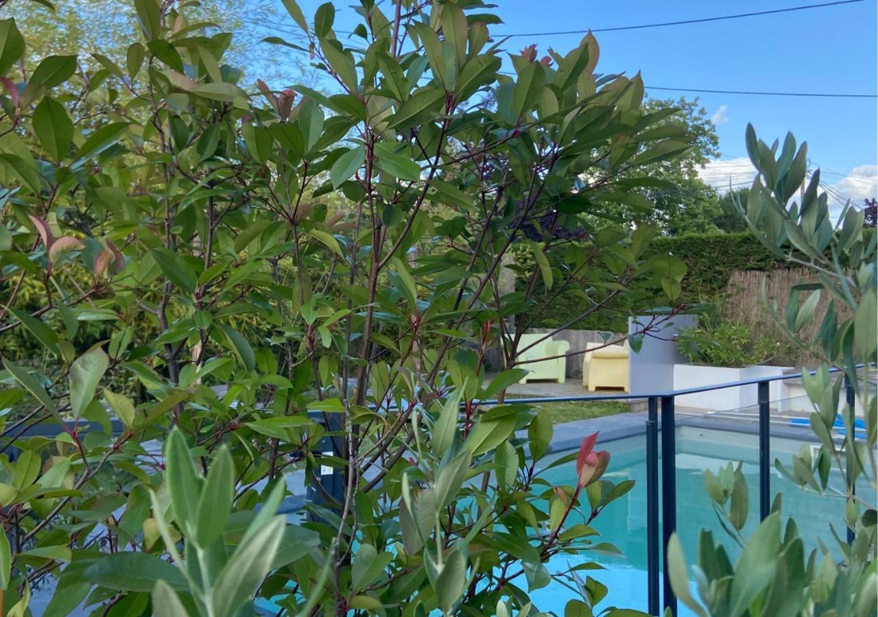 Au Bord De La Piscine Au Sud D'angers Saint-Jean-des-Mauvrets